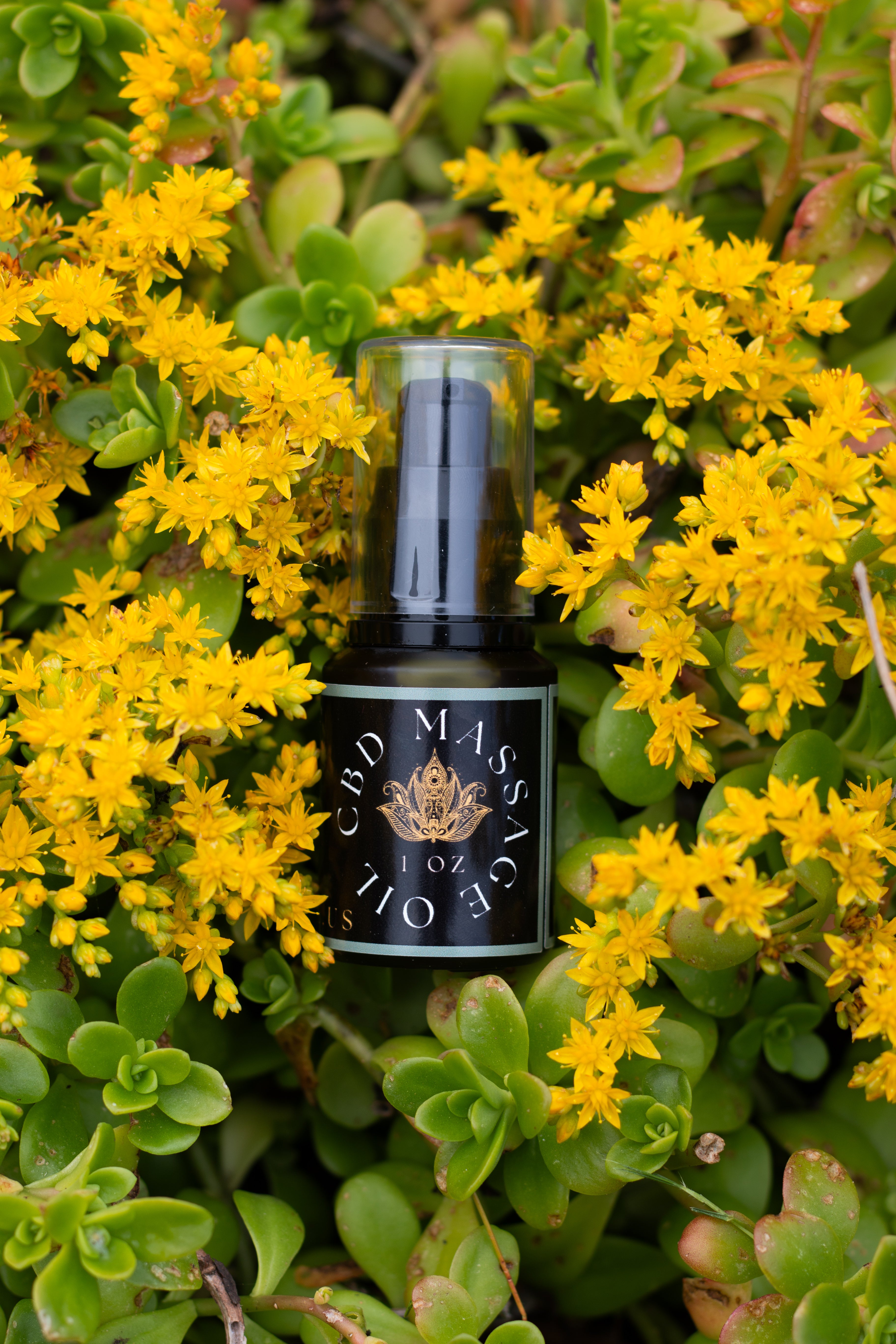 1500mg CBD Massage Oil