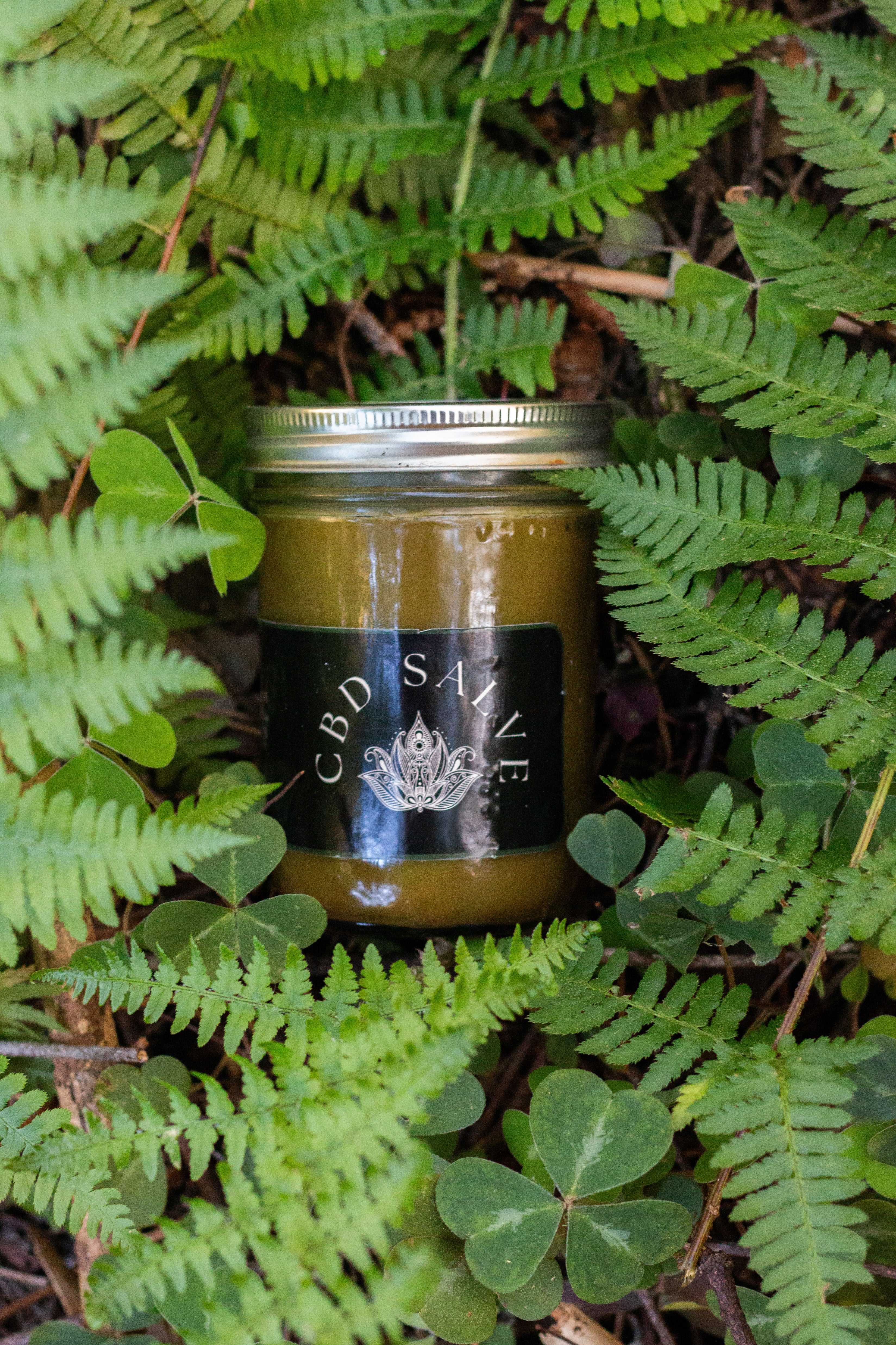 1500mg CBD Salve